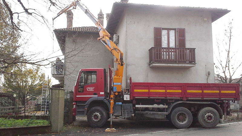Camion con gru